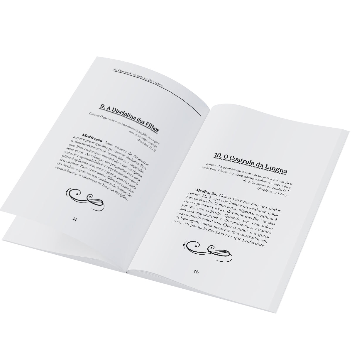 Livreto 40 dias de Sabedoria em Provérbios
