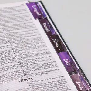 Abas Adesivas para Bíblia | Jornada com Deus Através das Escrituras | Leão de Judá