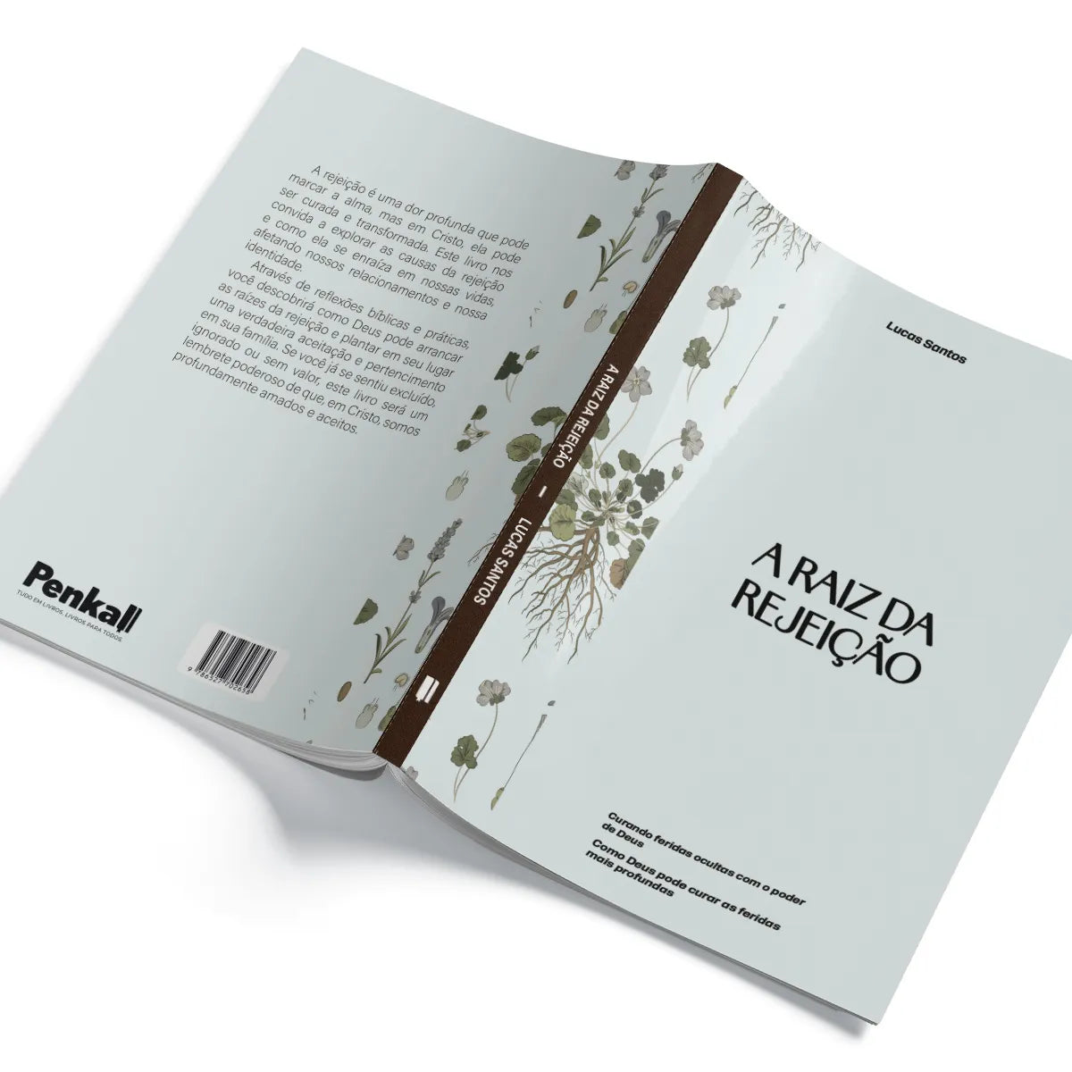 A Raiz da Rejeição: Curando ferida ocultas com o poder Deus | Lucas Santos