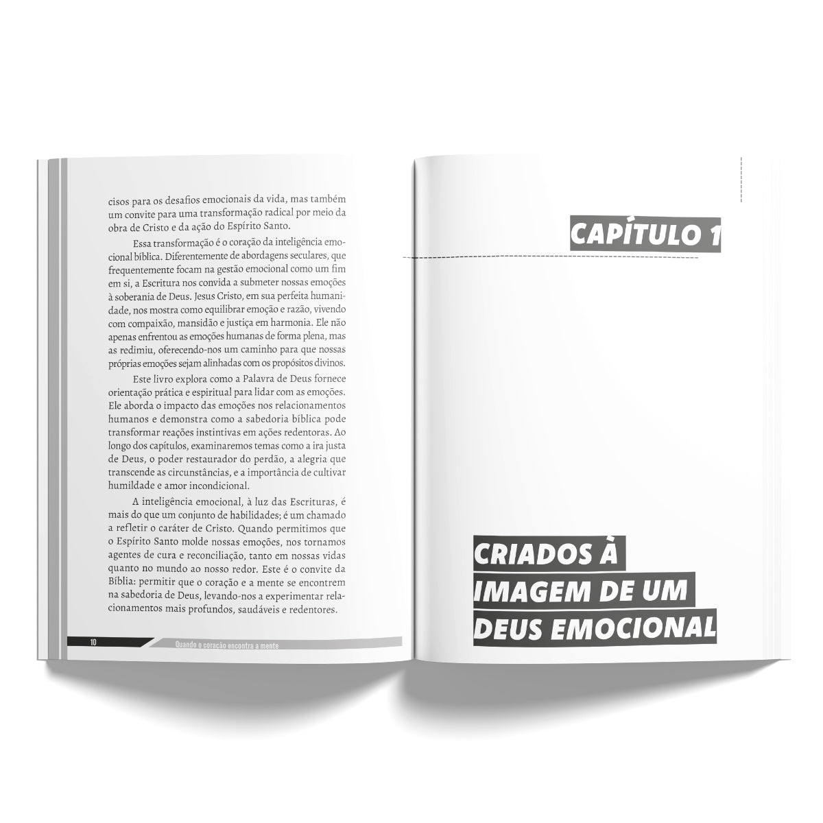 Inteligência Emocional - Como a Bíblia Transforma nossas Emoções e Relacionamentos