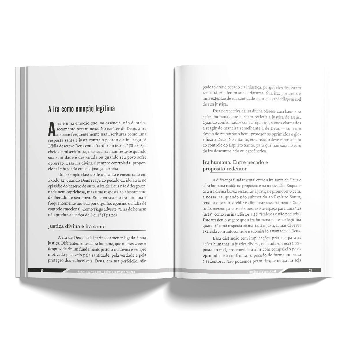 Inteligência Emocional - Como a Bíblia Transforma nossas Emoções e Relacionamentos