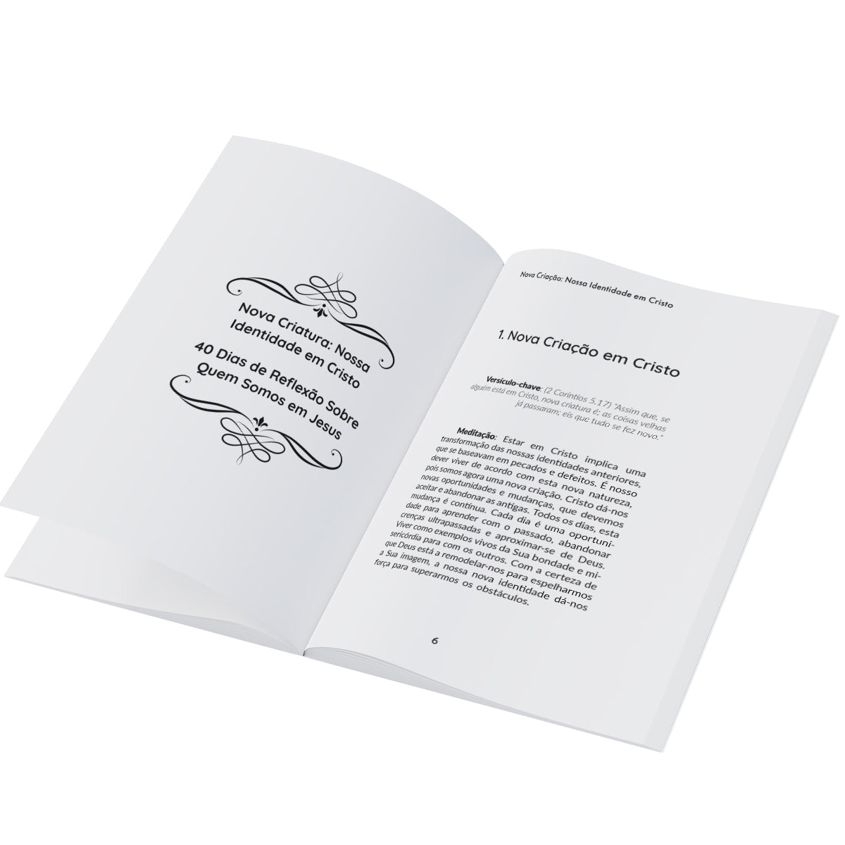 Livreto Nova Criatura: Nossa identidade em Cristo