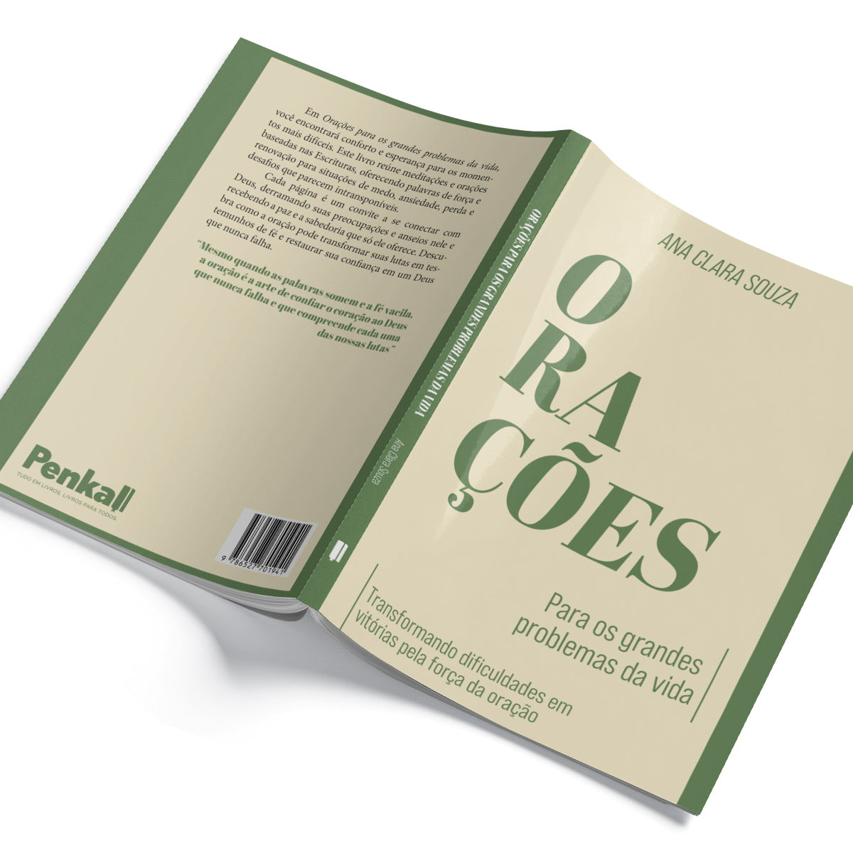 Orações Para os Grandes Problemas da Vida -Transformando Dificuldades em Vitórias pela Força da Oração - Ana Clara Souza