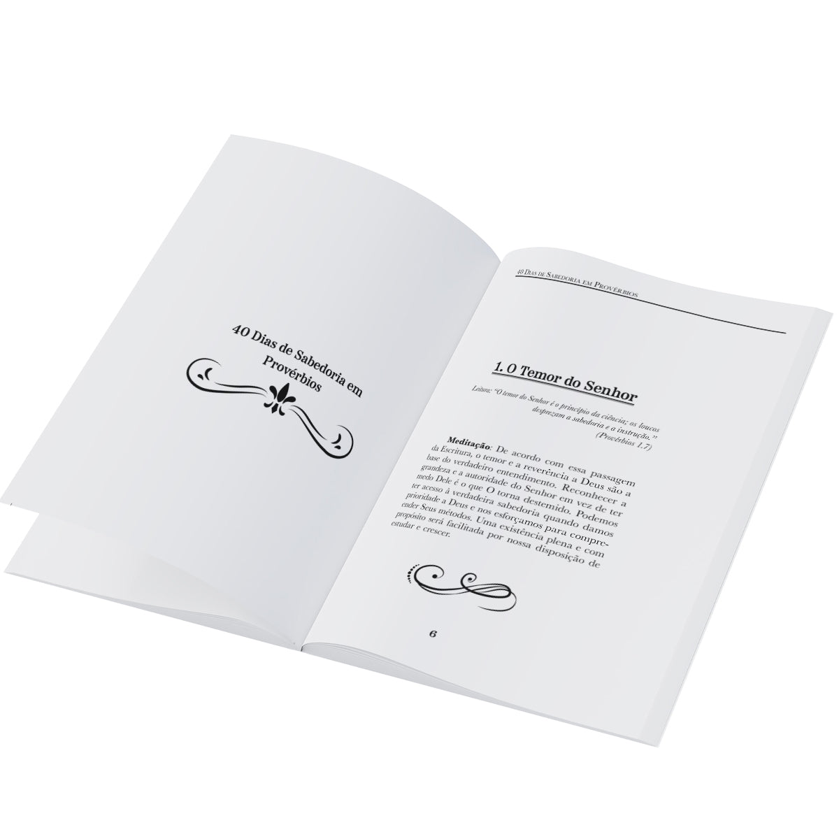 Livreto 40 dias de Sabedoria em Provérbios