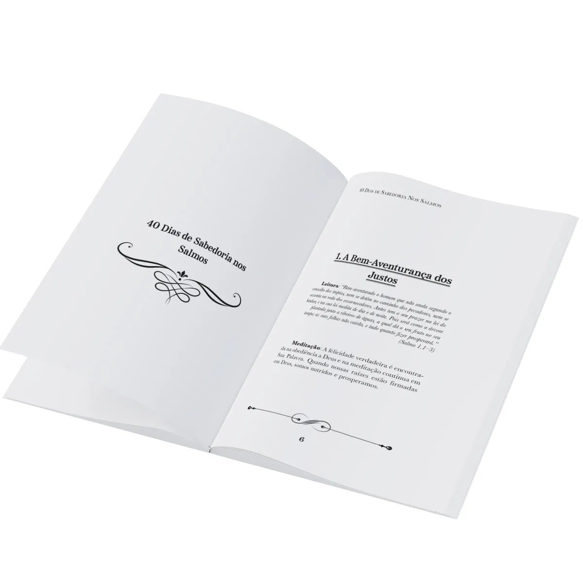 Livreto 40 dias de Sabedoria em Salmos