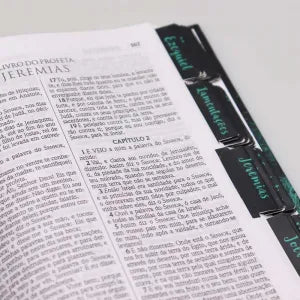 Abas Adesivas para Bíblia | Jornada com Deus Através das Escrituras | Leão Azul