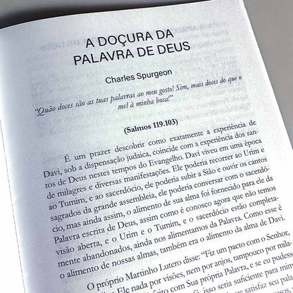 Abas adesivas para Bíblia | Lilás Borboleta
