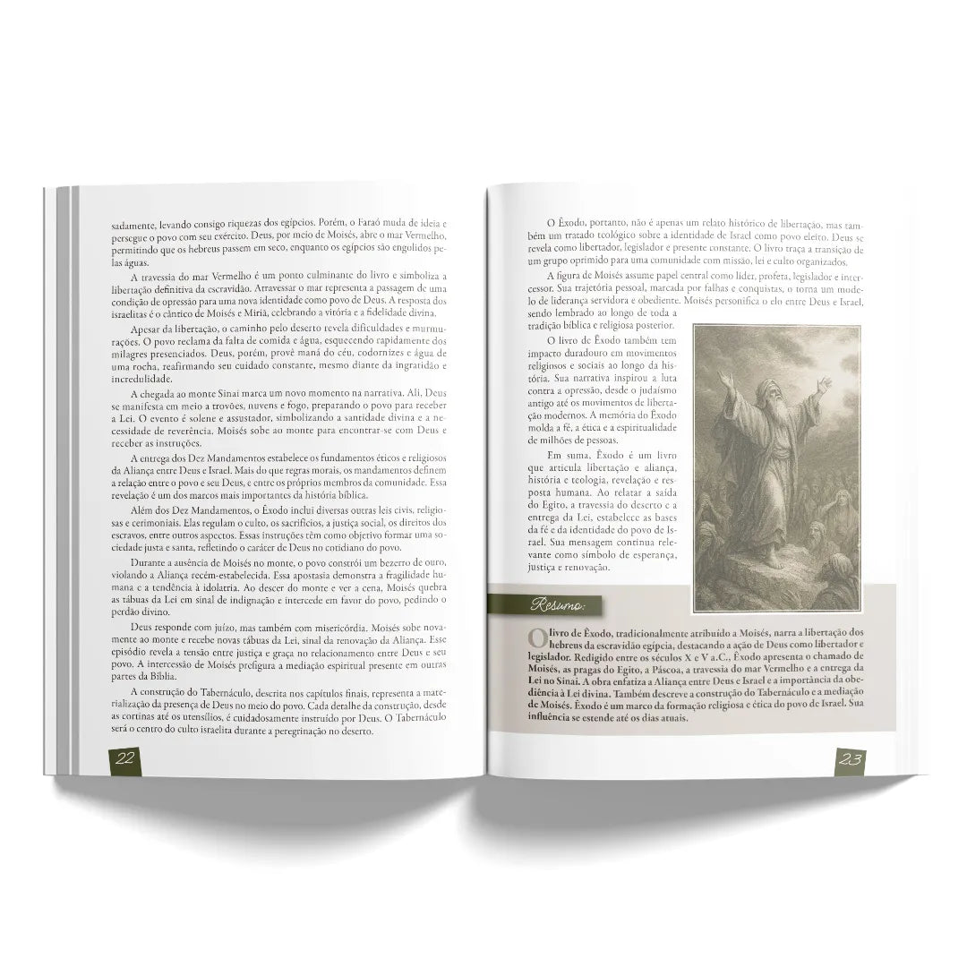 Estudando a Bíblia de Gênesis a Apocalipse : Um guia completo para compreender cada livro das Escritura | Editora Penkal