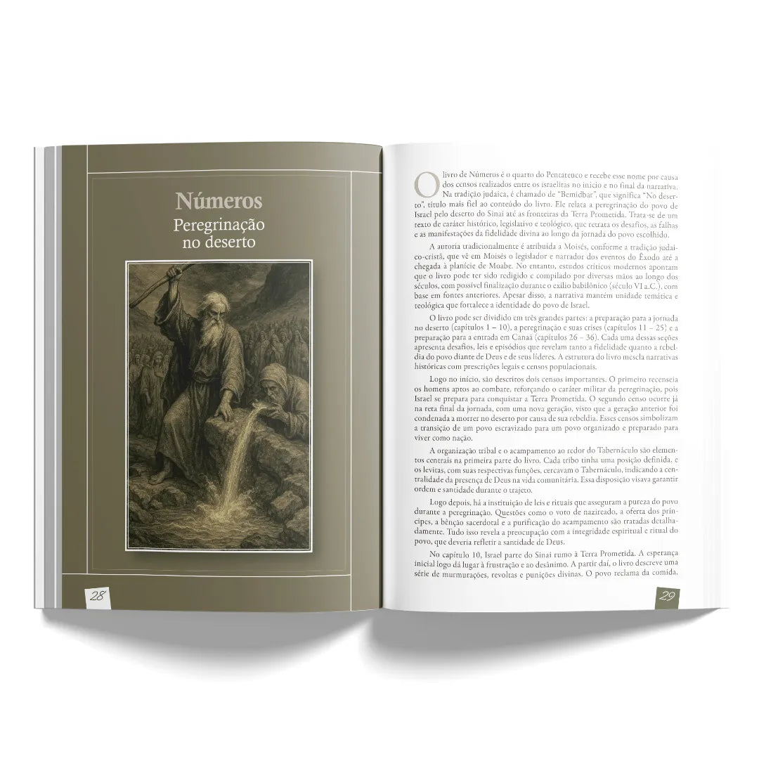 Estudando a Bíblia de Gênesis a Apocalipse : Um guia completo para compreender cada livro das Escritura | Editora Penkal