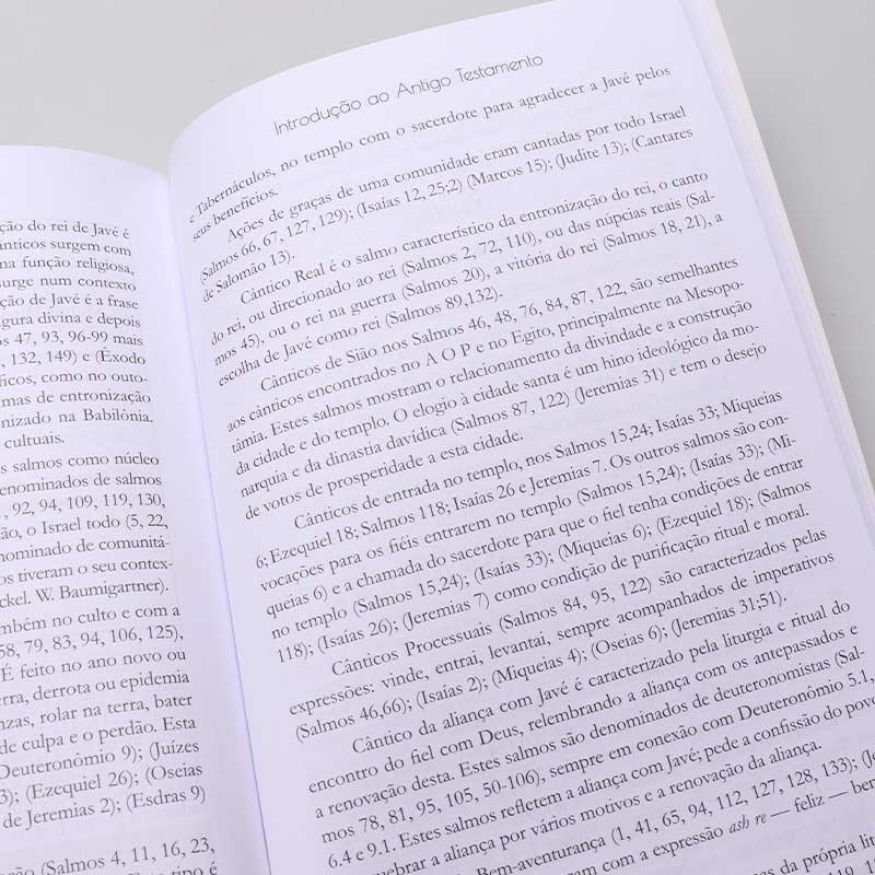 Introdução ao Antigo Testamento | Daniel Martins Sotelo