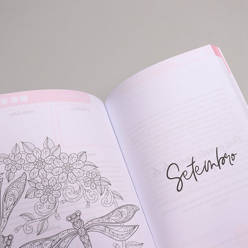 Minha Jornada Com Deus | Menina dos Olhos | Livro de Oração
