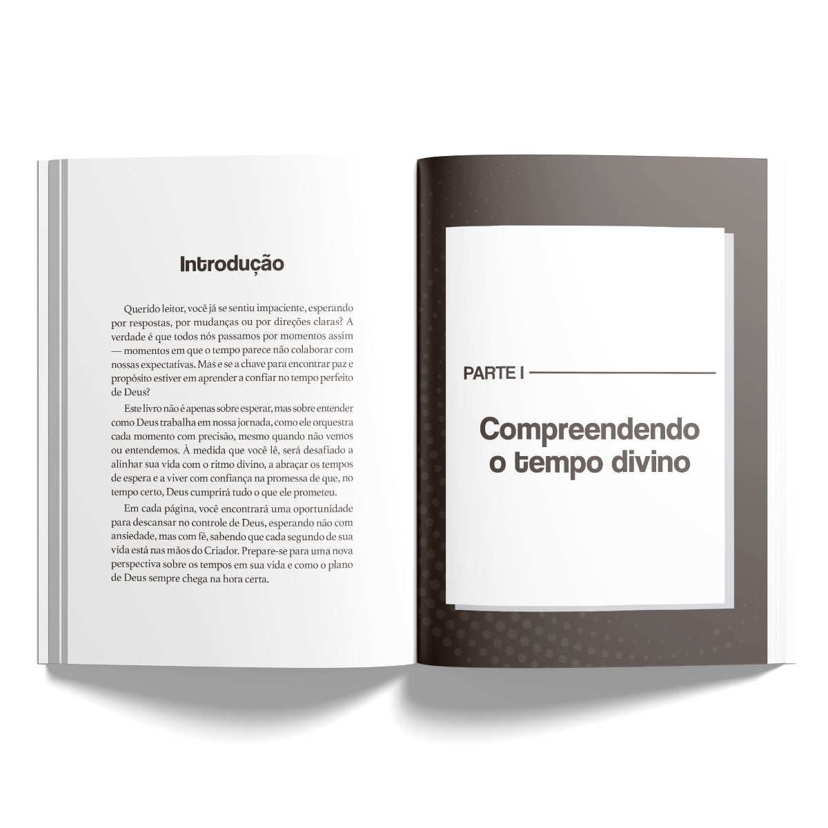 O tempo de Deus: Como alinhar seu coração com relógio de Deus  | Leandro Carvalho