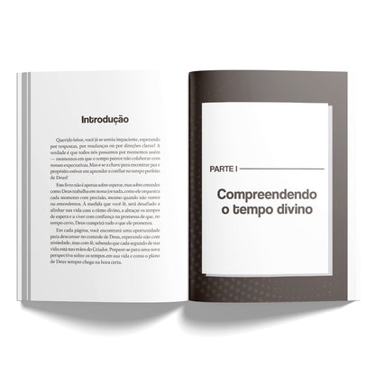 O tempo de Deus: Como alinhar seu coração com relógio de Deus  | Leandro Carvalho