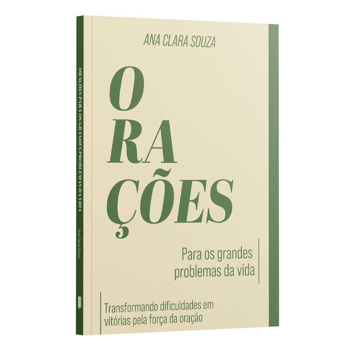 Orações Para os Grandes Problemas da Vida -Transformando Dificuldades em Vitórias pela Força da Oração - Ana Clara Souza