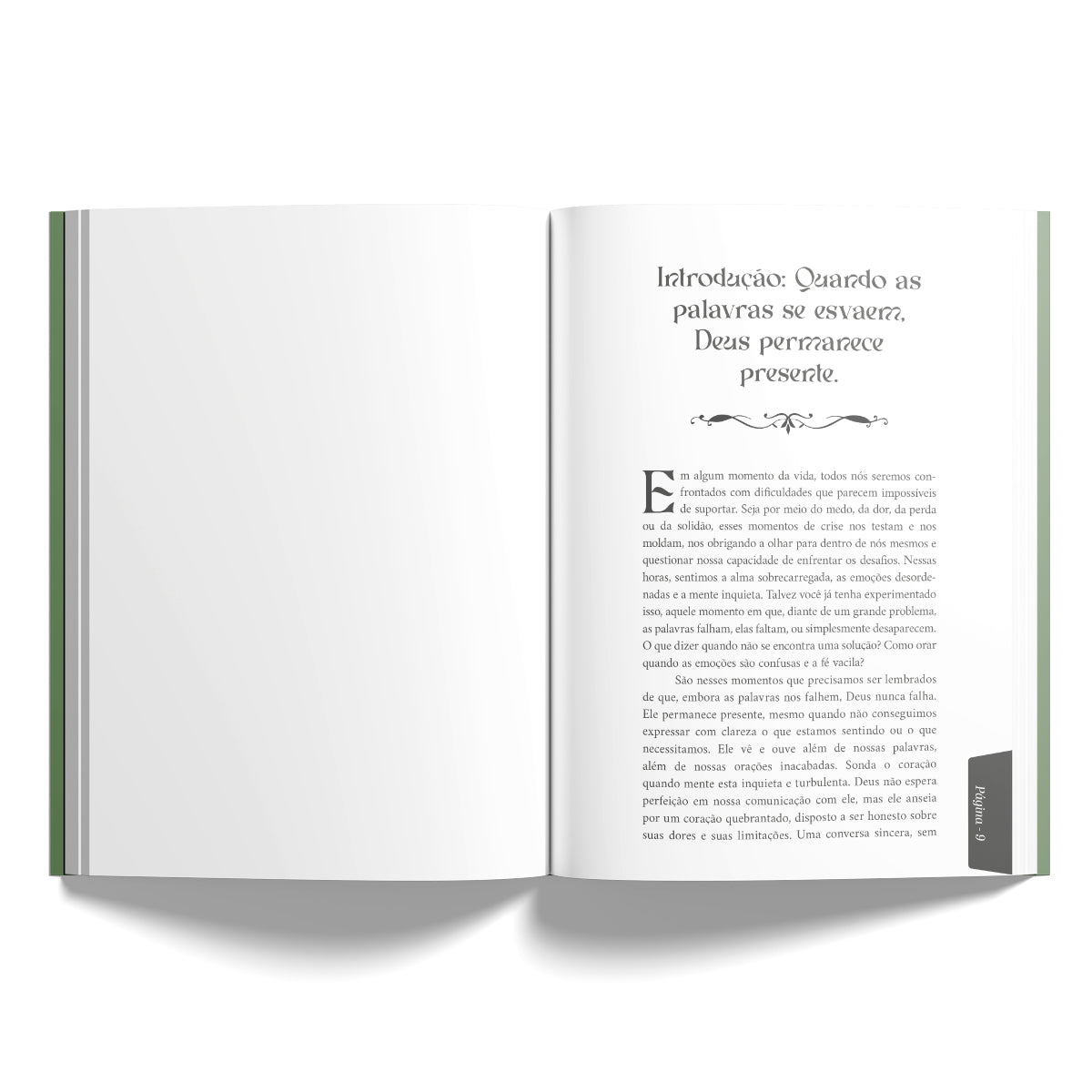 Orações Para os Grandes Problemas da Vida -Transformando Dificuldades em Vitórias pela Força da Oração - Ana Clara Souza