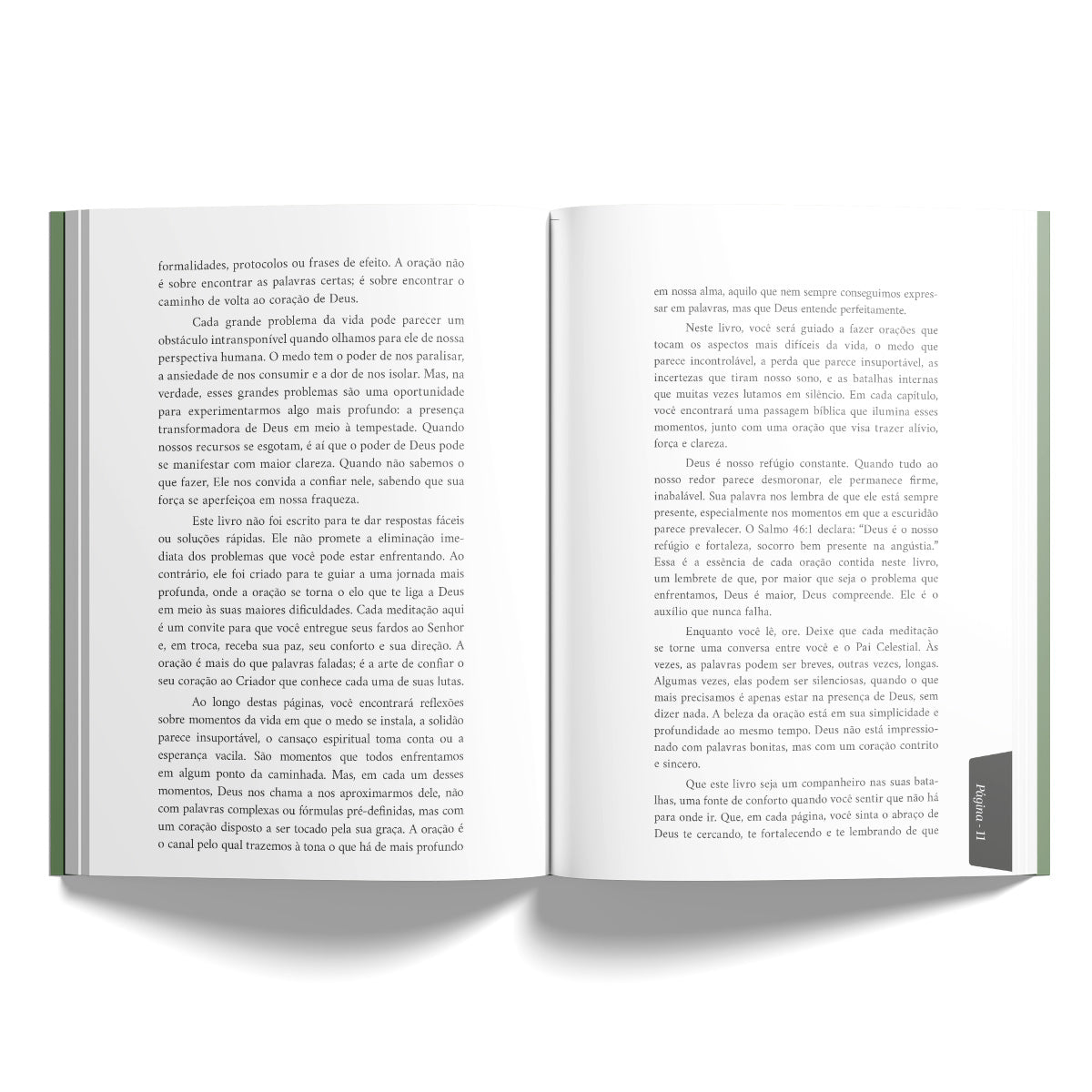 Orações Para os Grandes Problemas da Vida -Transformando Dificuldades em Vitórias pela Força da Oração - Ana Clara Souza