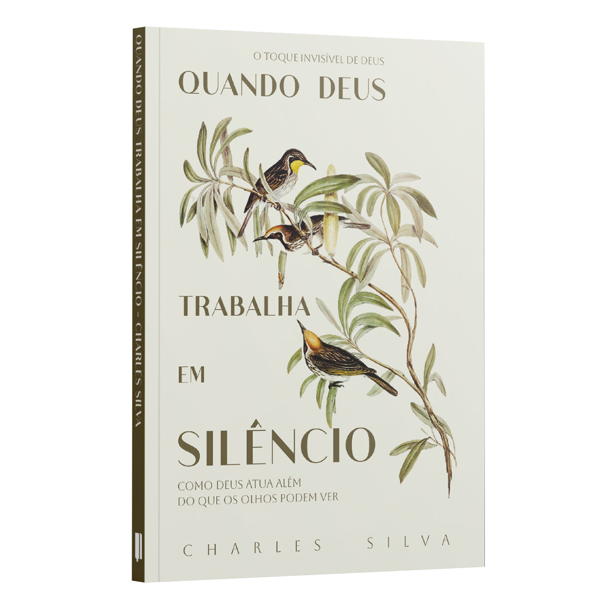 Quando Deus Trabalha em Silêncio - Como Deus Atua Além do que os Olhos Podem Ver - Charles Silva