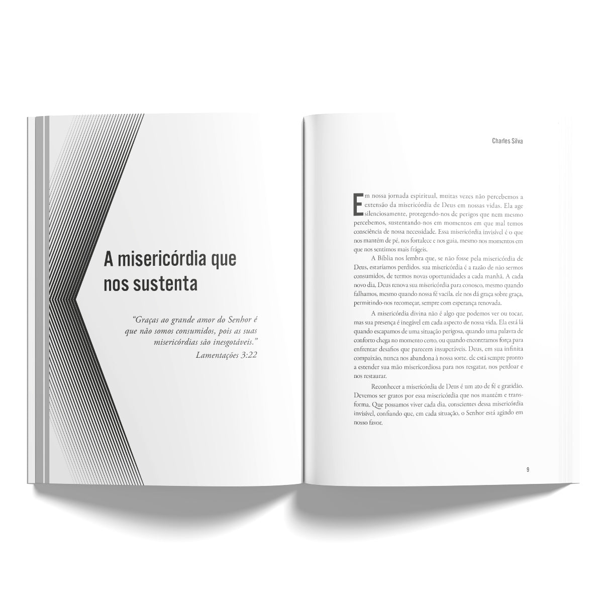 Quando Deus Trabalha em Silêncio - Como Deus Atua Além do que os Olhos Podem Ver - Charles Silva