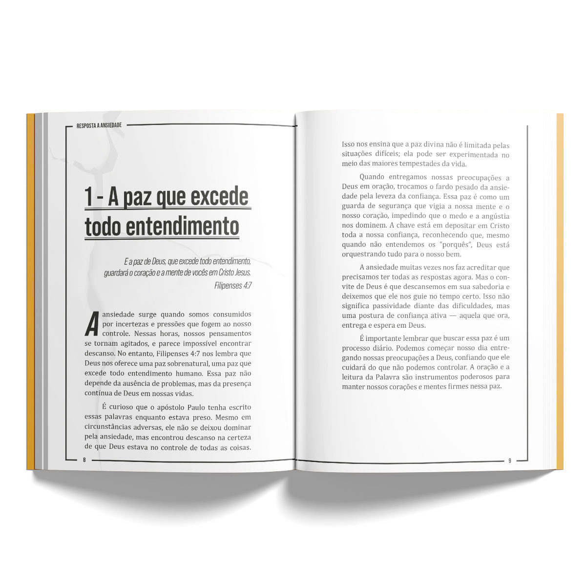 Resposta para a Ansiedade | Quando a Ansiedade Estilhaça a sua Paz - João Henrique Castro