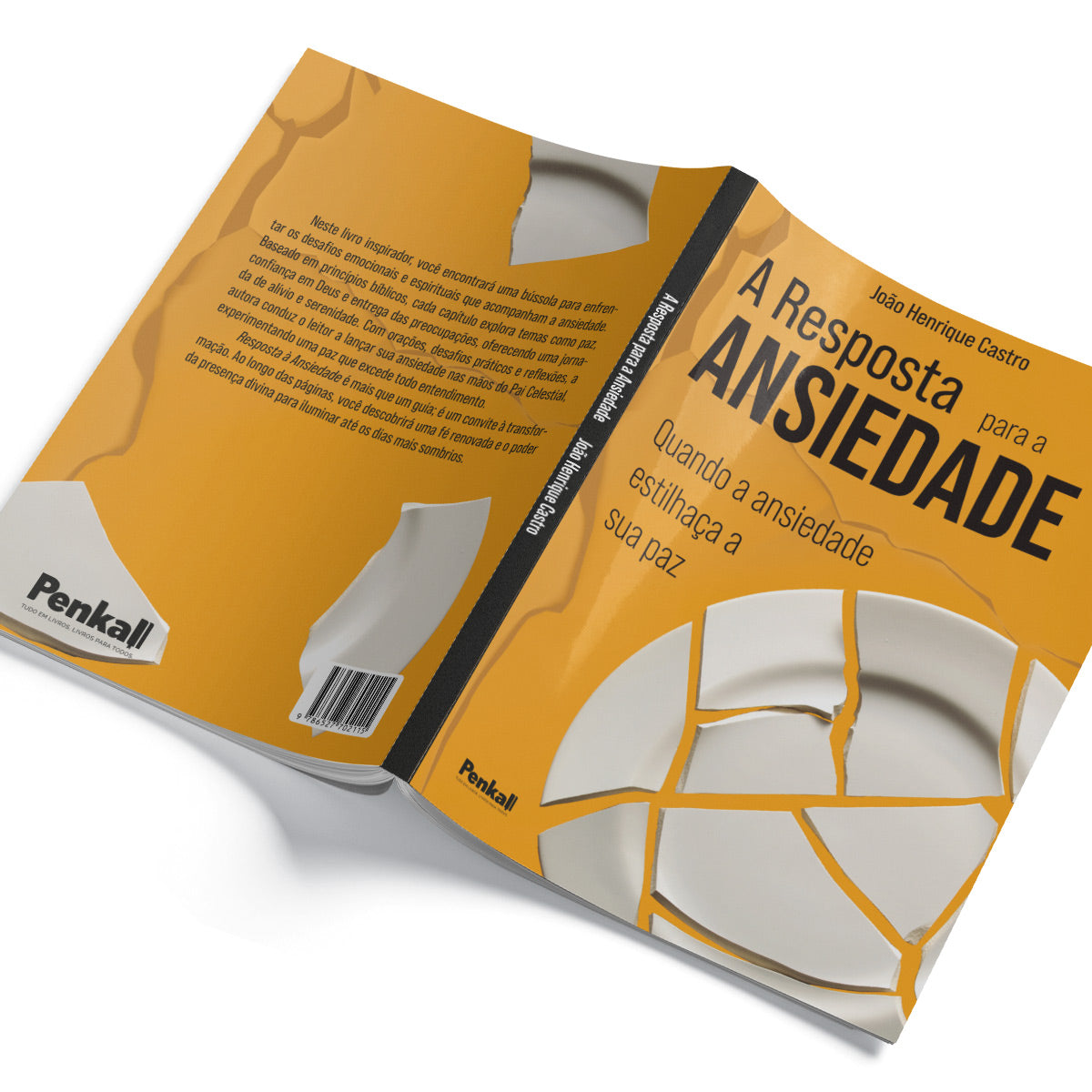 Resposta para a Ansiedade | Quando a Ansiedade Estilhaça a sua Paz - João Henrique Castro